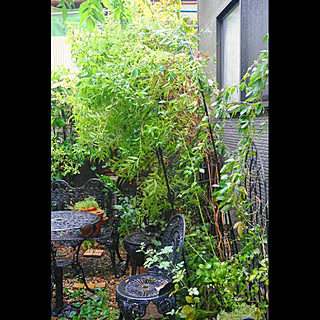 壁/天井/台風の後/花のある暮らし/自然と暮らす/植物のある暮らし...などのインテリア実例 - 2018-09-04 21:46:34