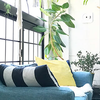 リビング/植物のある暮らし/DIY/観葉植物/植物/中古住宅...などのインテリア実例 - 2018-04-23 09:11:54