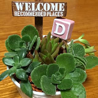 セリア セメント 白のインテリア実例 Roomclip ルームクリップ