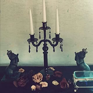 ベッド周り ゴシックのインテリア実例 | RoomClip(ルームクリップ)