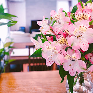 花瓶 アルストロメリアのインテリア実例 Roomclip ルームクリップ