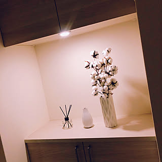 玄関 人感センサーライトのインテリア実例 Roomclip ルームクリップ