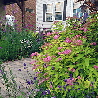 自然に優しいを目指すのインテリア実例 Roomclip ルームクリップ 自然に優しいを目指すのインテリア実例 Roomclip ルームクリップ