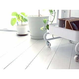 白い床 ボタニカルのインテリア実例 Roomclip ルームクリップ 白い床 ボタニカルのインテリア実例 Roomclip ルームクリップ