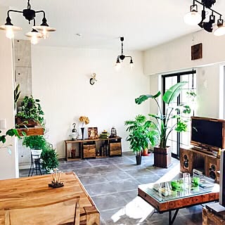 観葉植物 カフェ風インテリアのインテリア実例 Roomclip ルームクリップ