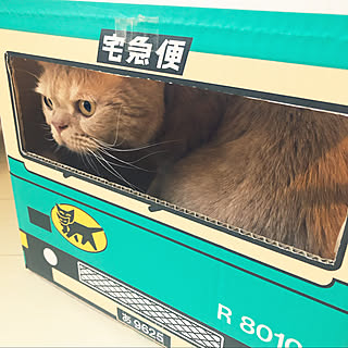 クロネコヤマト段ボールのインテリア実例 Roomclip ルームクリップ