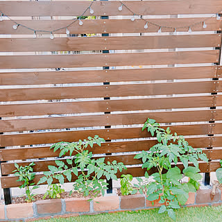 花壇 花壇ブロックのおしゃれなインテリアコーディネート レイアウトの実例 Roomclip ルームクリップ 花壇 花壇ブロックのおしゃれなインテリアコーディネート レイアウトの実例 Roomclip ルームクリップ