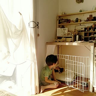 リビング/無印良品の机/の上にDIY棚/の下にワンコハウス/ペットインテリア/ワンコハウス...などのインテリア実例 - 2014-09-28 16:14:51