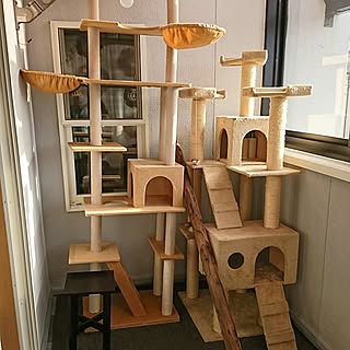 ベランダ 猫と暮らすのインテリア実例 Roomclip ルームクリップ ベランダ 猫と暮らすのインテリア実例 Roomclip ルームクリップ