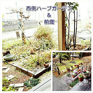 実家のお庭/実家のハーブガーデンと薔薇/人生はアートのインテリア実例 - 2018-01-02 15:32:57