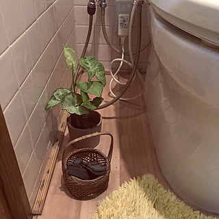 観葉植物 炭のインテリア実例 Roomclip ルームクリップ 観葉植物 炭のインテリア実例 Roomclip ルームクリップ