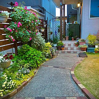 夕方の風景/お庭のある暮らし/小さな庭/お庭を素敵にしたい♡/癒し♡...などのインテリア実例 - 2021-05-05 16:05:59