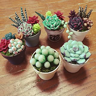 ミニ植木鉢のインテリア実例 Roomclip ルームクリップ ミニ植木鉢のインテリア実例 Roomclip ルームクリップ