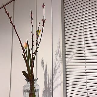 ブラインド/フラワーベース/こどもと暮らす/ホワイトインテリア/シンプル...などのインテリア実例 - 2020-02-15 21:06:31