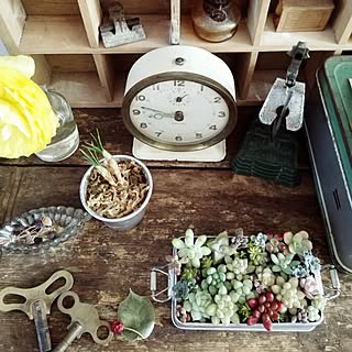 棚/骨董品/古いもの/朝の1枚/グリーンのある暮らし...などのインテリア実例 - 2017-02-08 09:15:24