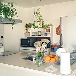 観葉植物 レンジフード上のインテリア実例 Roomclip ルームクリップ 観葉植物 レンジフード上のインテリア実例 Roomclip ルームクリップ