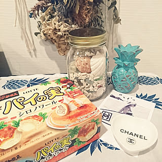 棚/インスタもcocosorasaku/beachstyleにしたい!/ペットと暮らす家/みなさんの素敵なインテリアに癒されてます...などのインテリア実例 - 2017-08-13 20:15:39