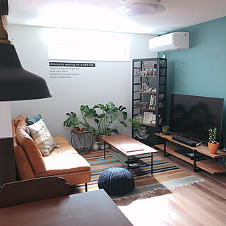 サボテン 観葉植物のある暮らしのインテリア実例 Roomclip ルームクリップ サボテン 観葉植物のある暮らしのインテリア実例 Roomclip ルームクリップ