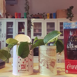 キッチン/風邪っぴき真っ最中!/コーラの瓶/久しぶりの投稿/グリーンのある暮らし...などのインテリア実例 - 2017-01-29 16:20:21