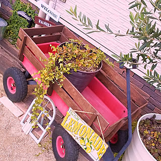 部屋全体/ガーデニング/子どものいる暮らし/フォロー大歓迎♪/こどものいる暮らし...などのインテリア実例 - 2019-09-12 16:16:09