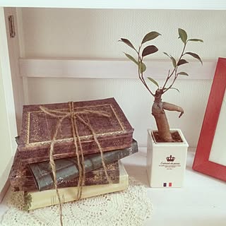 玄関/入り口/ナチュラル/カントリーのインテリア実例 - 2012-09-01 14:51:20