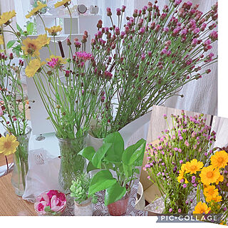 お花のある暮らし/花瓶/フラワーベース/野花/seria...などのインテリア実例 - 2021-05-17 08:20:13