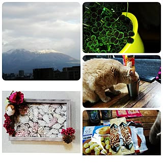 100均DIY/いいね&フォローありがとうございます☆/Blue Clover/額縁/六つ子同好会...などのインテリア実例 - 2017-02-09 17:20:45