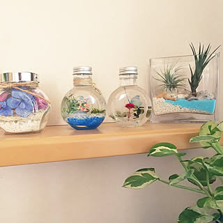 棚 カラーサンドアートのインテリア実例 Roomclip ルームクリップ