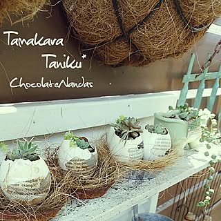 棚/タマカラ/いいね&コメントいつもアリガトウ♡/植物/フォローして頂きありがとうございます!...などのインテリア実例 - 2017-06-03 13:09:46