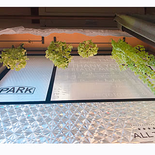 セリア Seria 冷蔵庫カーテンのまとめページ Roomclip ルームクリップ