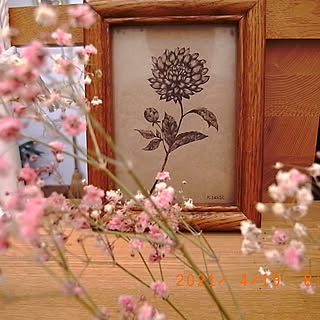 花のある暮らし イラスト手書きのインテリア実例 Roomclip ルームクリップ