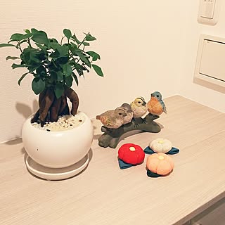 玄関 ガジュマルのインテリア実例 Roomclip ルームクリップ