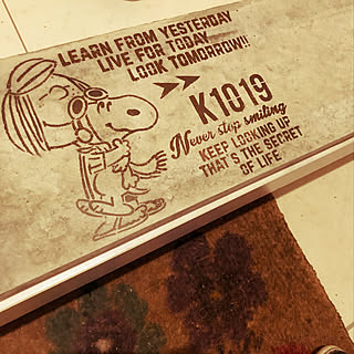 ステンシル/U字溝/スヌーピー/玄関/入り口のインテリア実例 - 2020-01-23 21:54:32