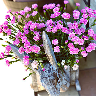 ミーテのインテリア実例 Roomclip ルームクリップ ミーテのインテリア実例 Roomclip ルームクリップ