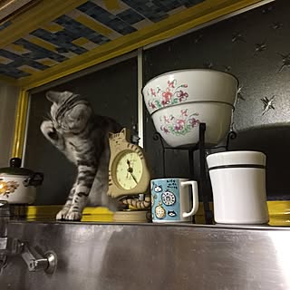 キッチン/manhattaner'sのマグカップ/ねこの時計/キッチン出窓リメイク中/古い家...などのインテリア実例 - 2017-05-13 23:40:32