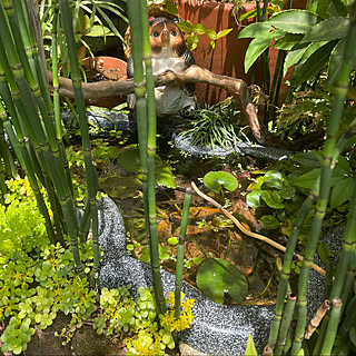 カエル嫌いな人ごめんなさいm Mのインテリア実例 Roomclip ルームクリップ