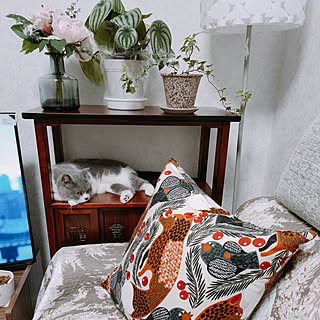 Marimekko マリメッコ のおすすめ家具 インテリアの商品一覧 全25件 Roomclipショッピング