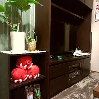 ぬいぐるみ おみやげのおしゃれなアレンジ 飾り方のインテリア実例 Roomclip ルームクリップ