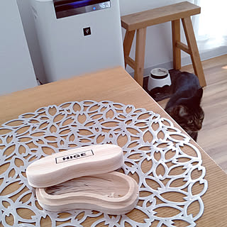 猫のひげケースのインテリア実例 Roomclip ルームクリップ 猫のひげケースのインテリア実例 Roomclip ルームクリップ