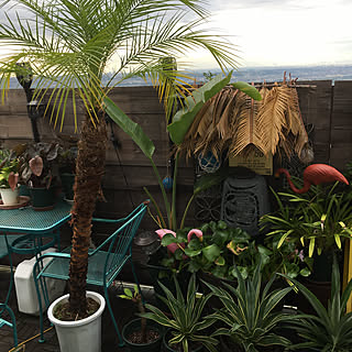 フェニックス ロベレニー デッキのある暮らしのインテリア実例 Roomclip ルームクリップ