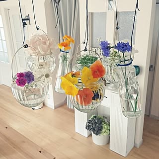 壁/天井/入らなくなった空き瓶を再利用/Daiso/庭の花をディスプレイ/ガラス瓶...などのインテリア実例 - 2016-06-09 07:52:38