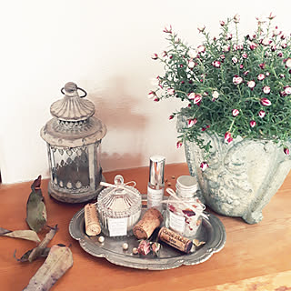 棚/2019.2.11/Mimi-blanche ちゃんの作品♡/ありがとう❤/皆様のあたたかさに感謝❤...などのインテリア実例 - 2019-02-11 11:32:32