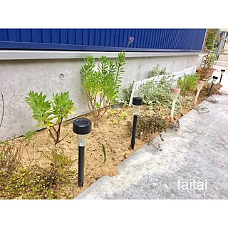 玄関/入り口/お花のある暮らし/グリーンのある暮らし/お花植えたいな/ビーダンス...などのインテリア実例 - 2016-10-23 18:32:00