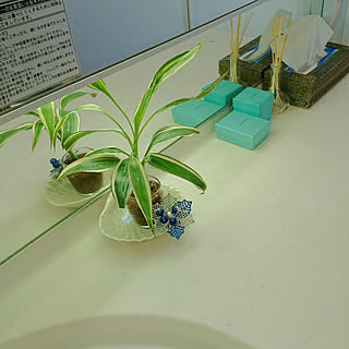 バス/トイレ/2階の洗面台/拭かざるを得ません⤵️。/五面鏡/カウンター...などのインテリア実例 - 2017-11-29 09:05:49