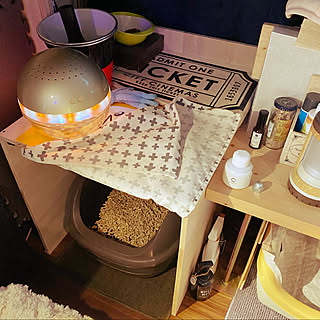 ニャンとも清潔トイレ/マジックボール/クレベリン/猫用トイレ/しゃれとんしゃあ会...などのインテリア実例 - 2020-02-05 17:45:42