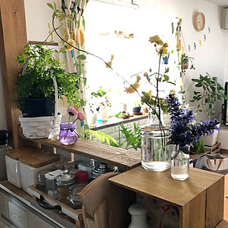 キッチン 庭の花を生けるのインテリア実例 Roomclip ルームクリップ