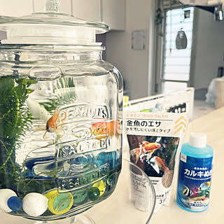 ビー玉 金魚鉢のおしゃれなアレンジ 飾り方のインテリア実例 Roomclip ルームクリップ