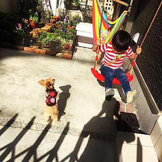 パラコードを使用のインテリア実例 Roomclip ルームクリップ