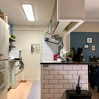 キッチン/IKEA/100均/セリア/キャンドゥ...などのインテリア実例 - 2019-01-08 11:25:18