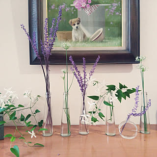 にらの花のインテリア実例 Roomclip ルームクリップ